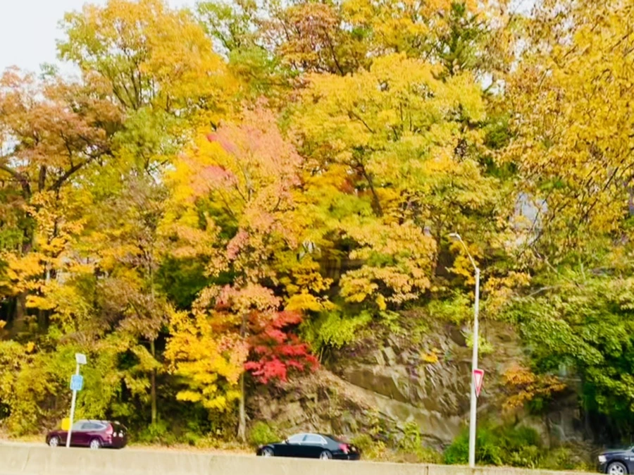 IMG_2295.jpg?type=w966