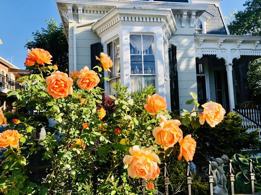 IMG_7458.jpg?type=w966