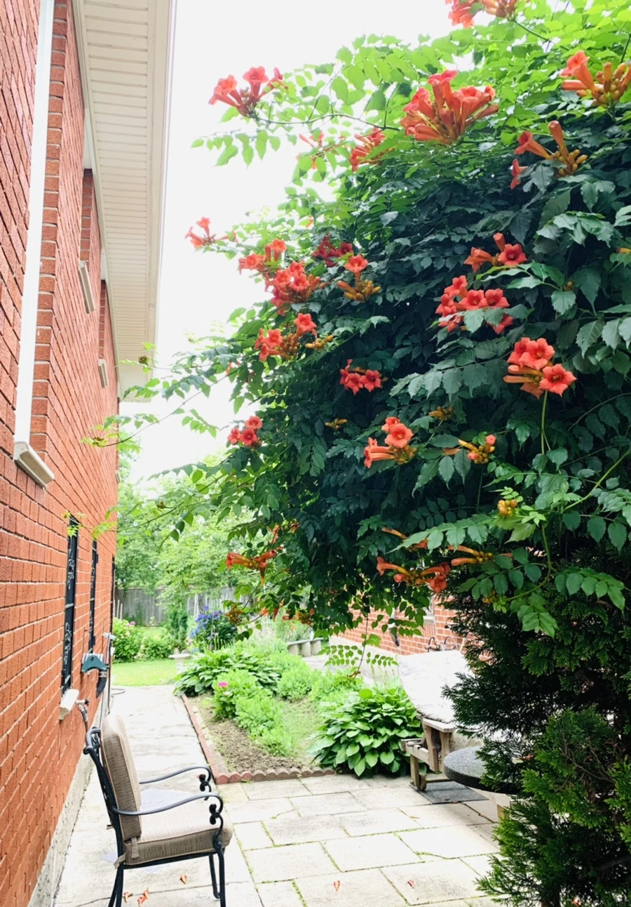 IMG_7107.jpg?type=w966