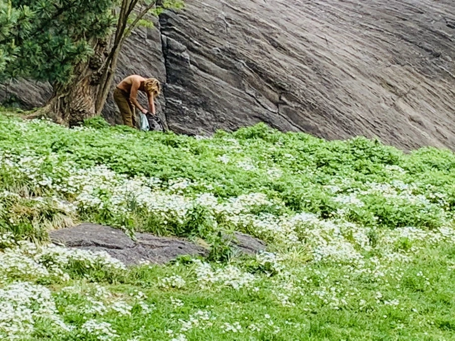 IMG_8764.jpg?type=w966