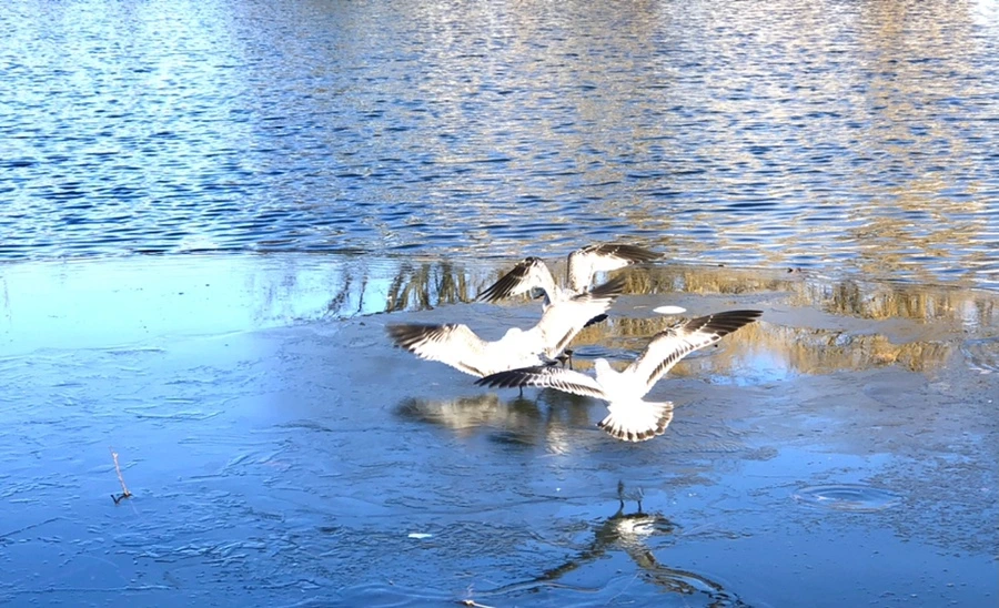 IMG_0531.jpg?type=w966