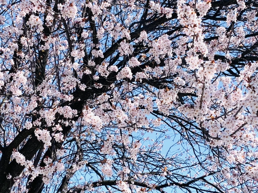 IMG_7959.jpg?type=w966