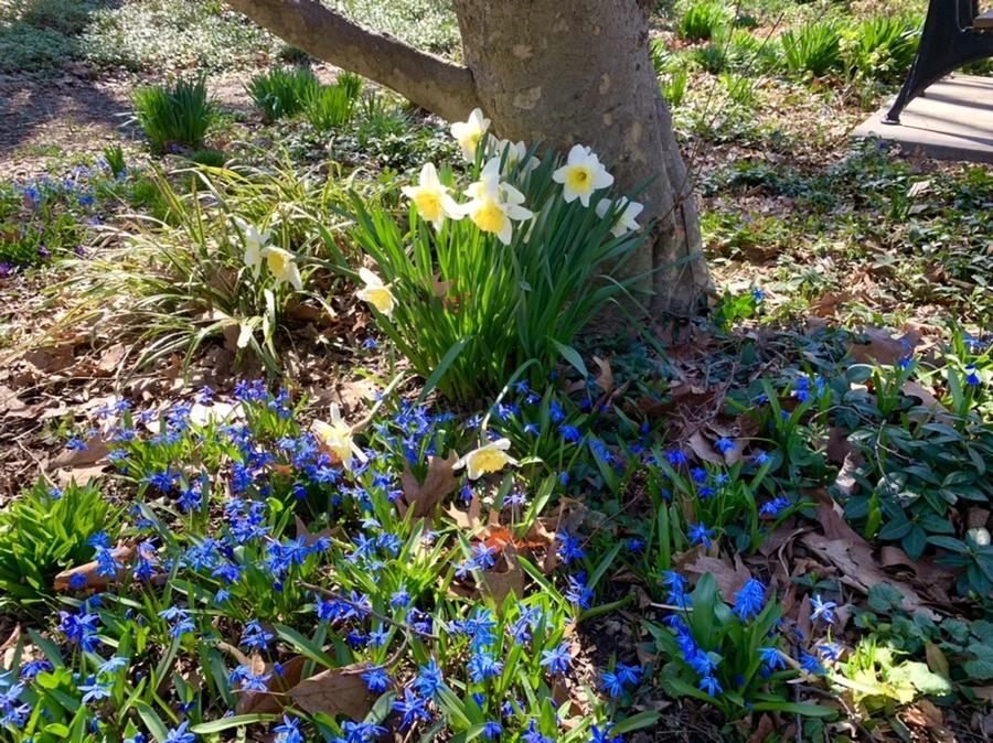 IMG_5661.jpg?type=w966