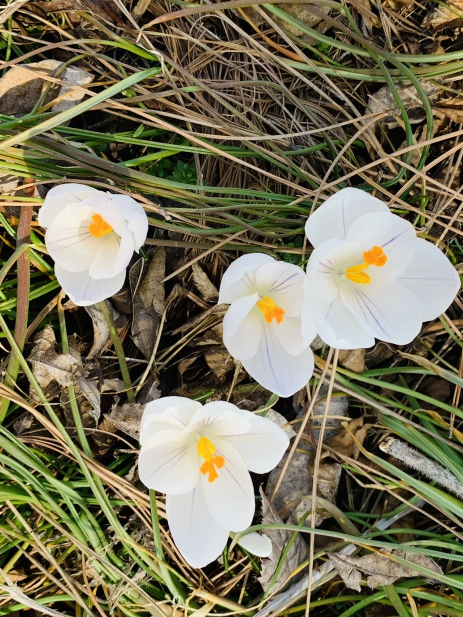 IMG_2968.jpg?type=w966