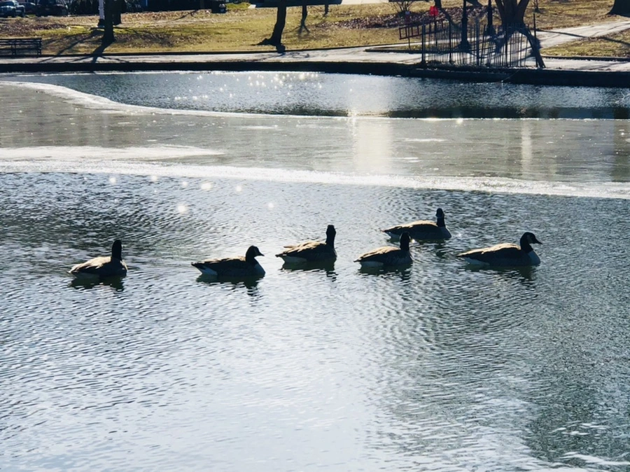 IMG_5528.jpg?type=w966