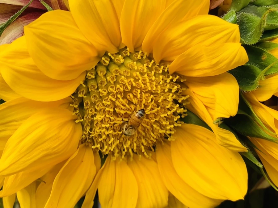 IMG_1197.jpg?type=w966