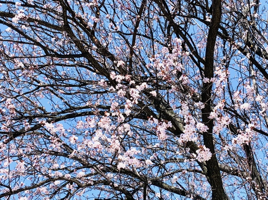 IMG_7741.jpg?type=w966