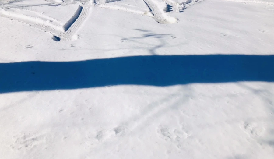 IMG_4011.jpg?type=w966