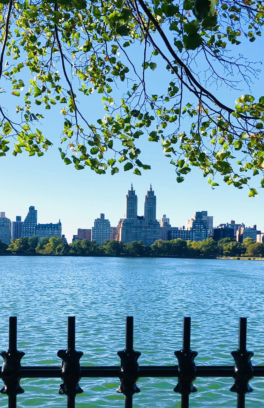 IMG_1711.jpg?type=w966