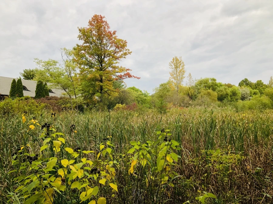 IMG_1639.jpg?type=w966