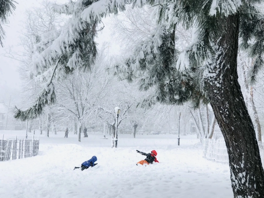 IMG_1084.jpg?type=w966