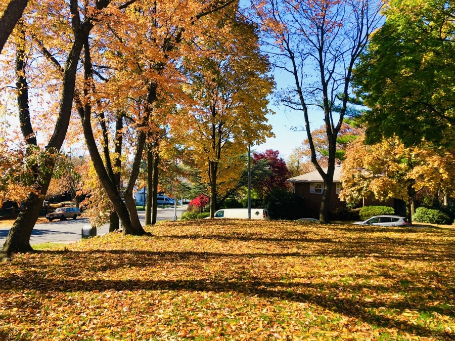 IMG_4218.jpg?type=w966