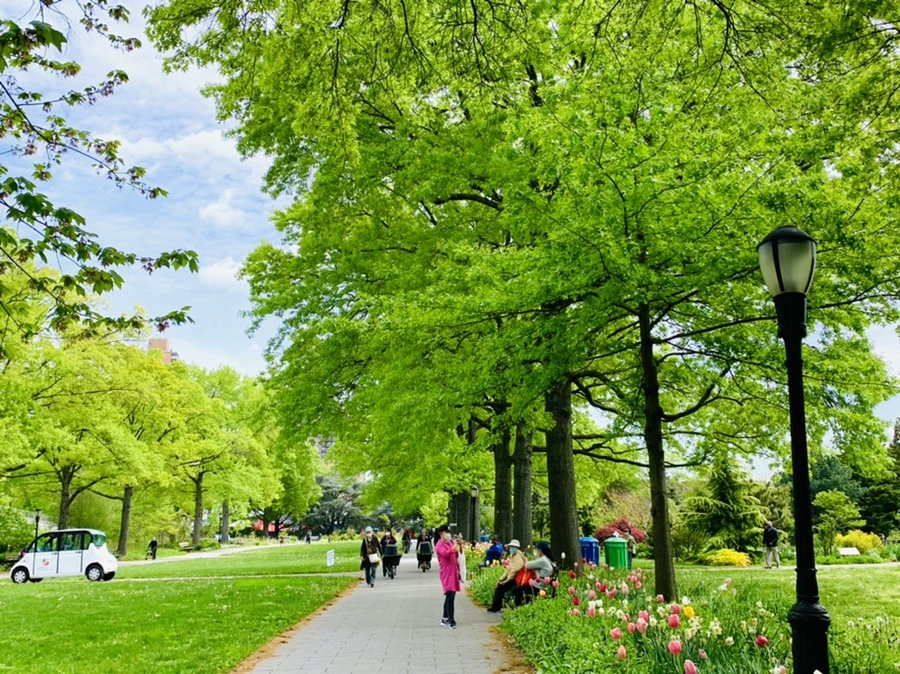 IMG_1315.jpg?type=w966