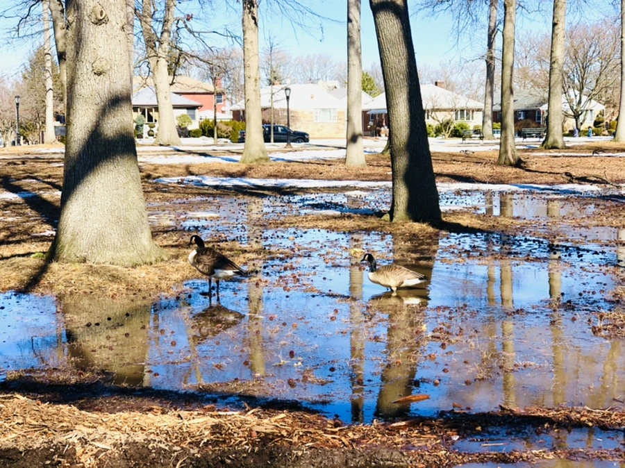 IMG_4666.jpg?type=w966