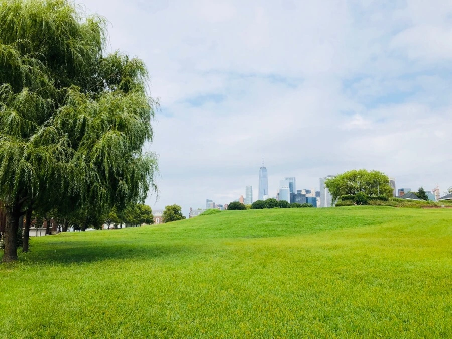 IMG_3859.jpg?type=w966