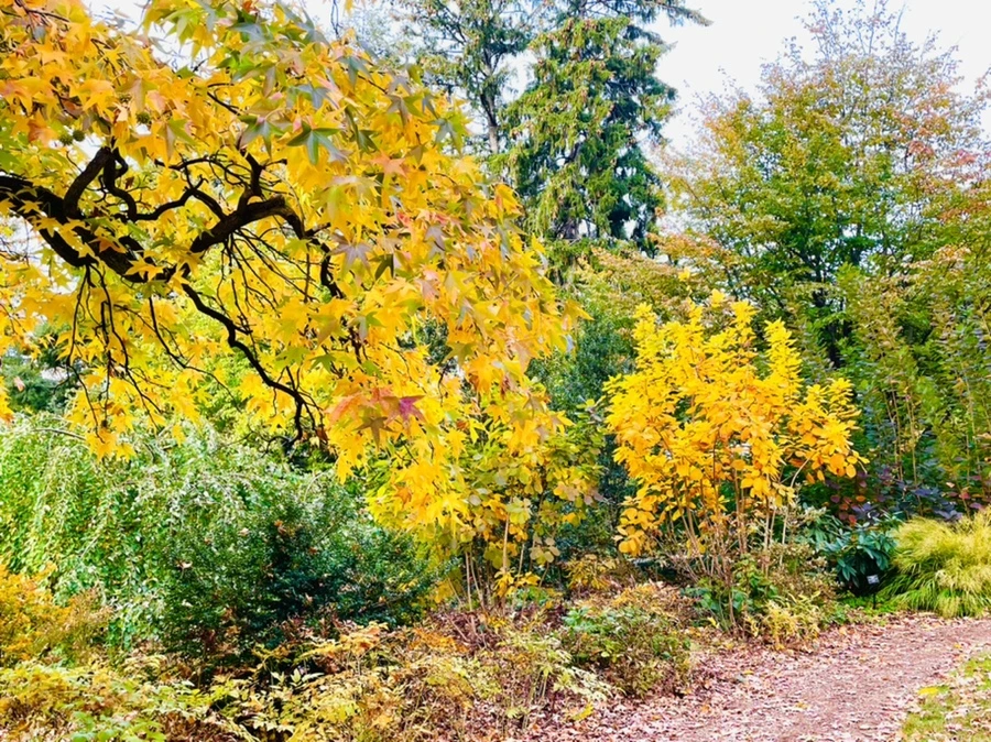 IMG_2375.jpg?type=w966