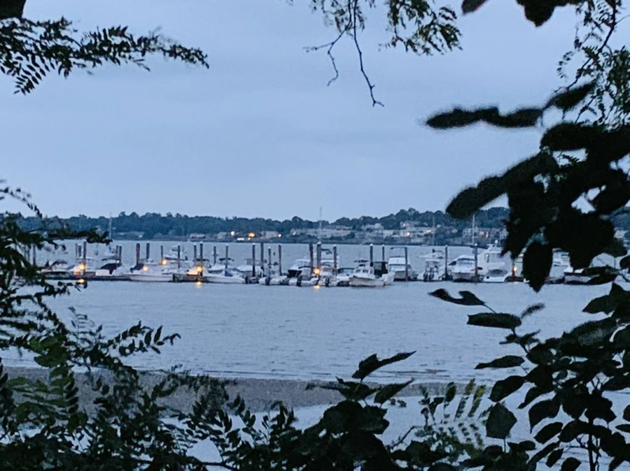 IMG_6698.jpg?type=w966