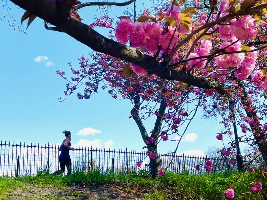 IMG_2756.jpg?type=w966