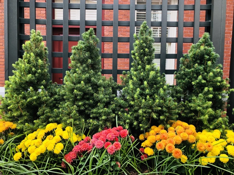 IMG_0570.jpg?type=w966