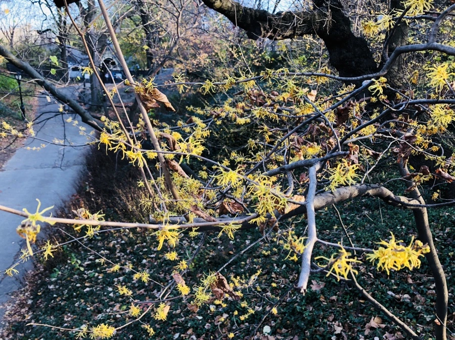 IMG_5338.jpg?type=w966