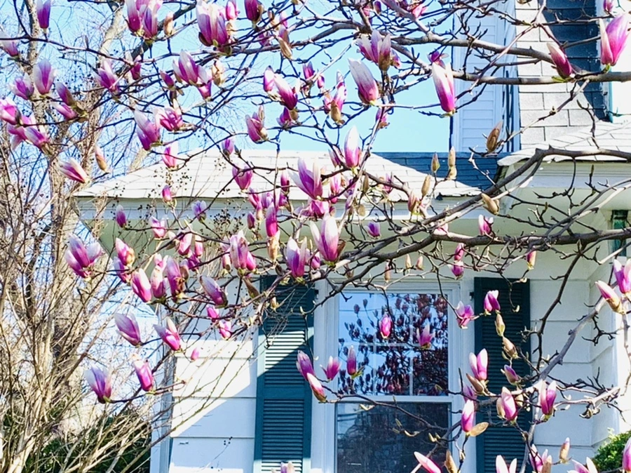 IMG_7517.jpg?type=w966