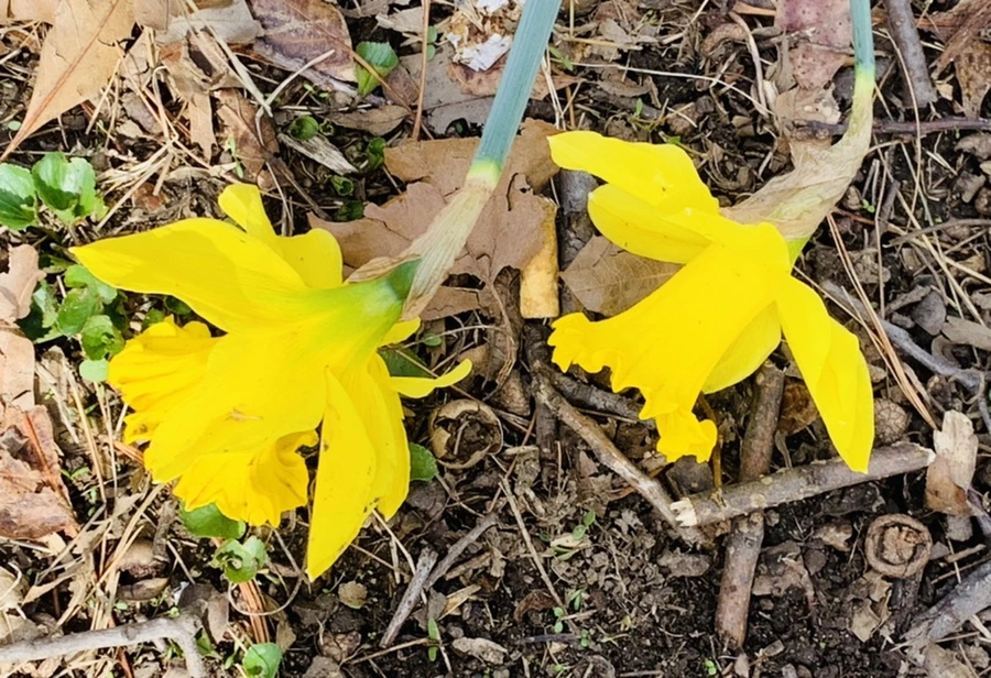 IMG_6364.jpg?type=w966