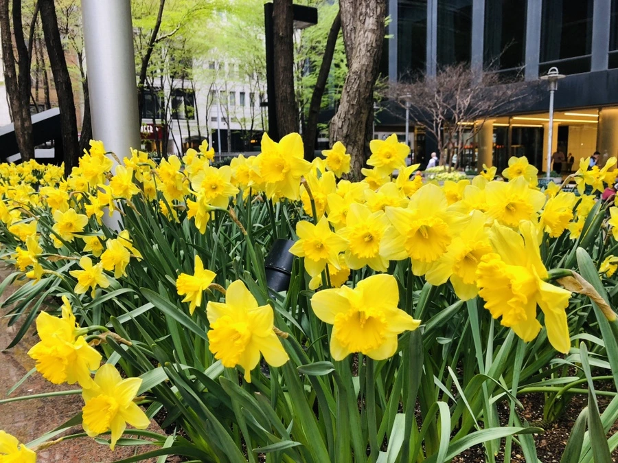 IMG_2598.jpg?type=w966