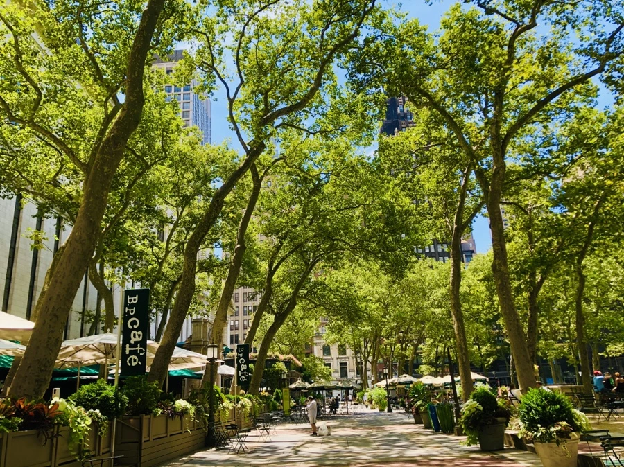 IMG_5258.jpg?type=w966