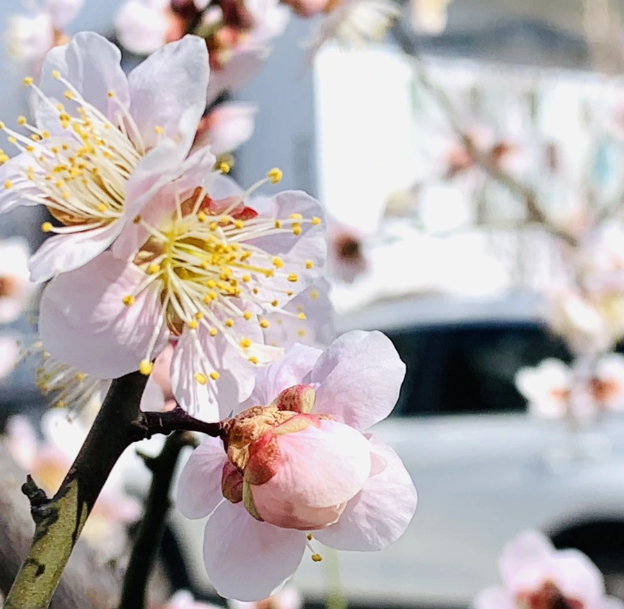 IMG_0984.jpg?type=w966