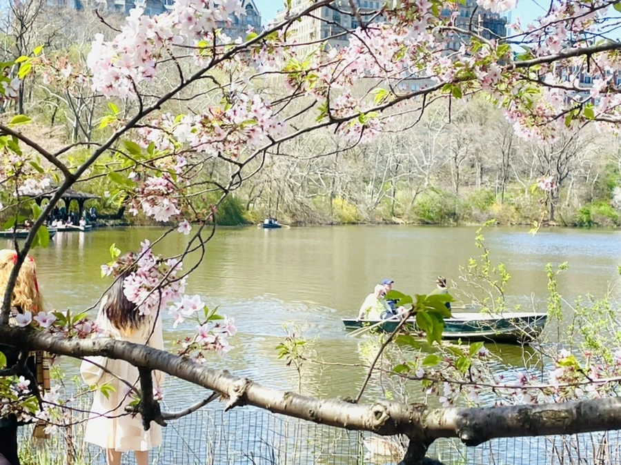 IMG_0692.jpg?type=w966