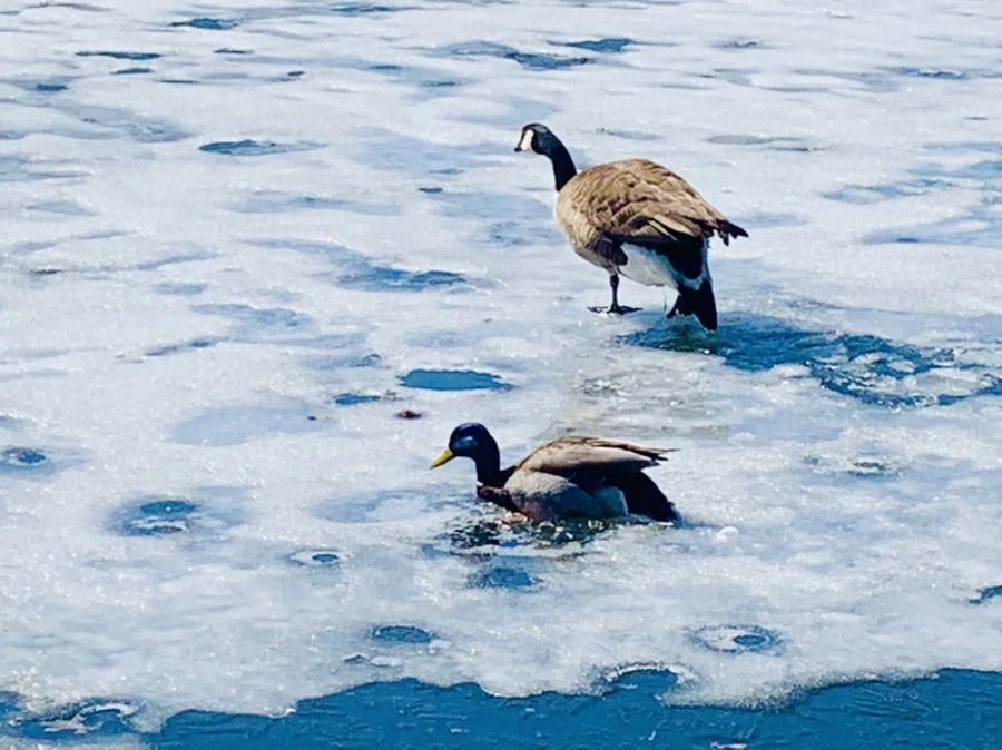 IMG_6882.jpg?type=w966