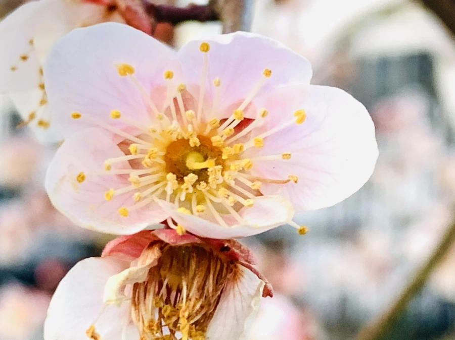 IMG_2327.jpg?type=w966