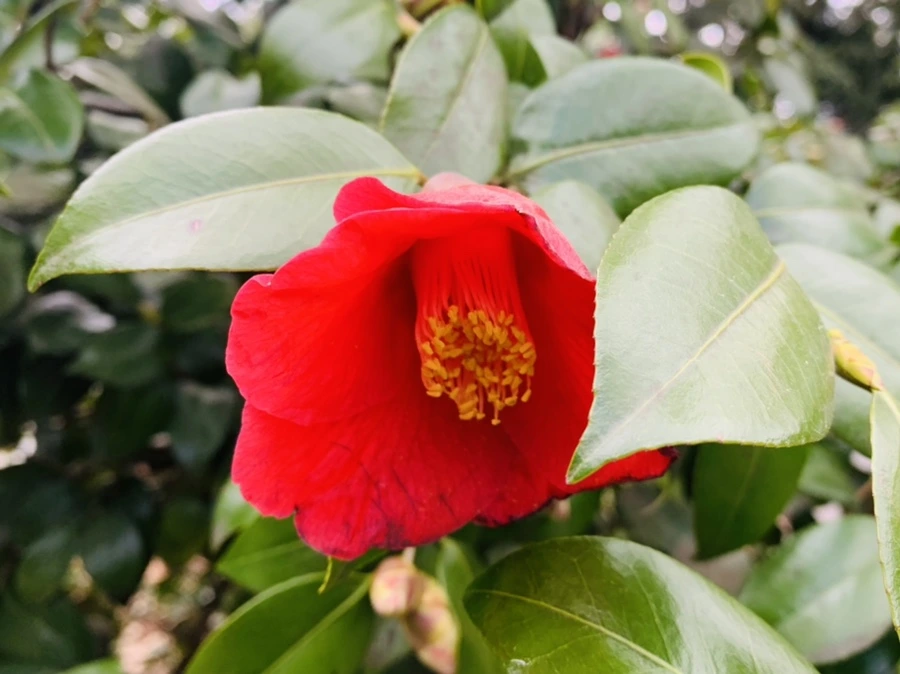 IMG_6438.jpg?type=w966