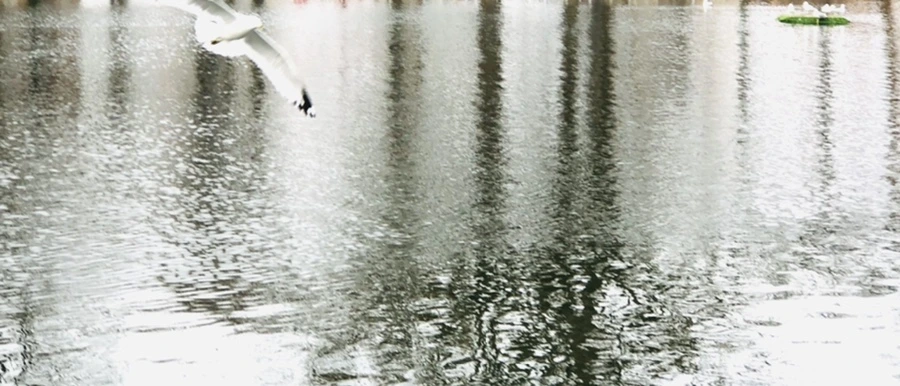 IMG_8634.jpg?type=w966