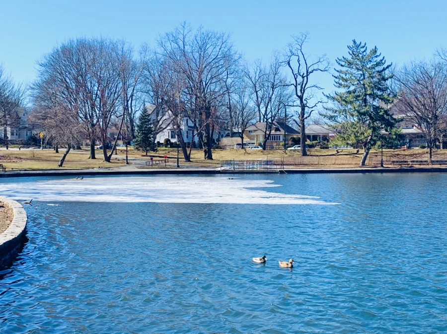 IMG_6614.jpg?type=w966