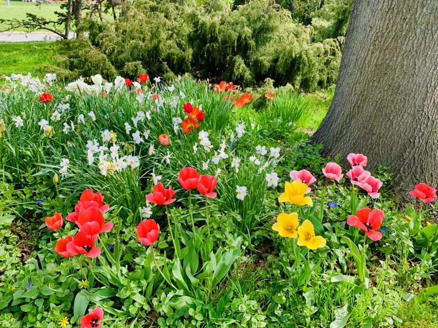 IMG_6906.jpg?type=w966