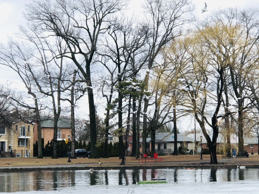 IMG_6473.jpg?type=w966