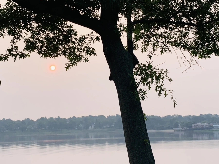 IMG_8359.jpg?type=w966