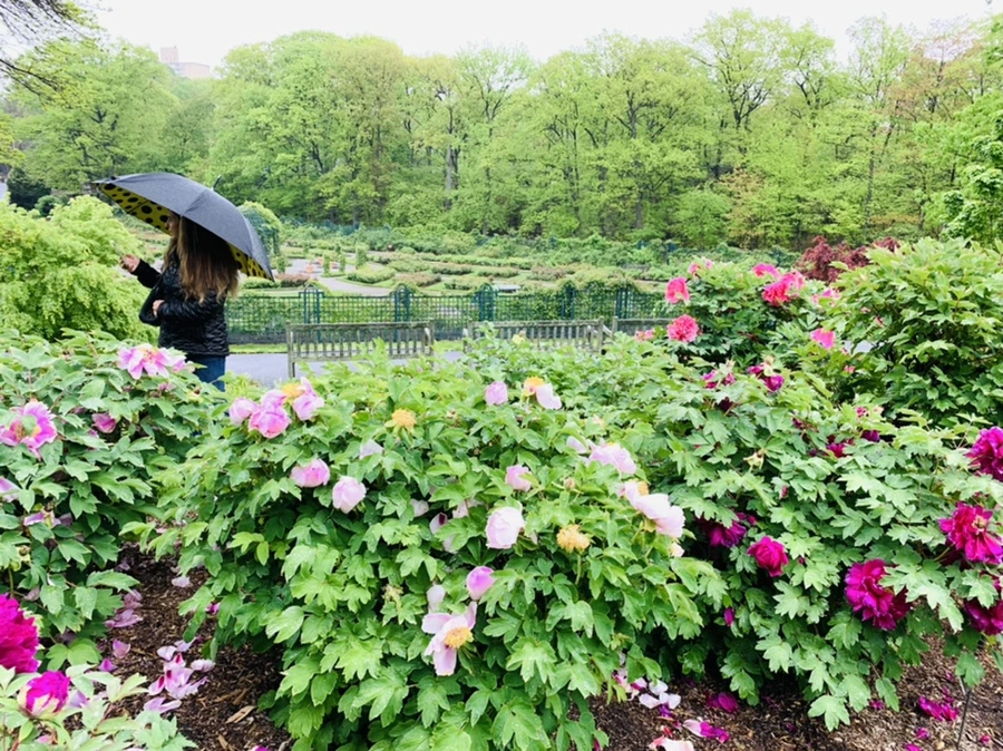 IMG_9960.jpg?type=w966