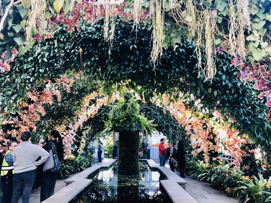 IMG_6302.jpg?type=w966