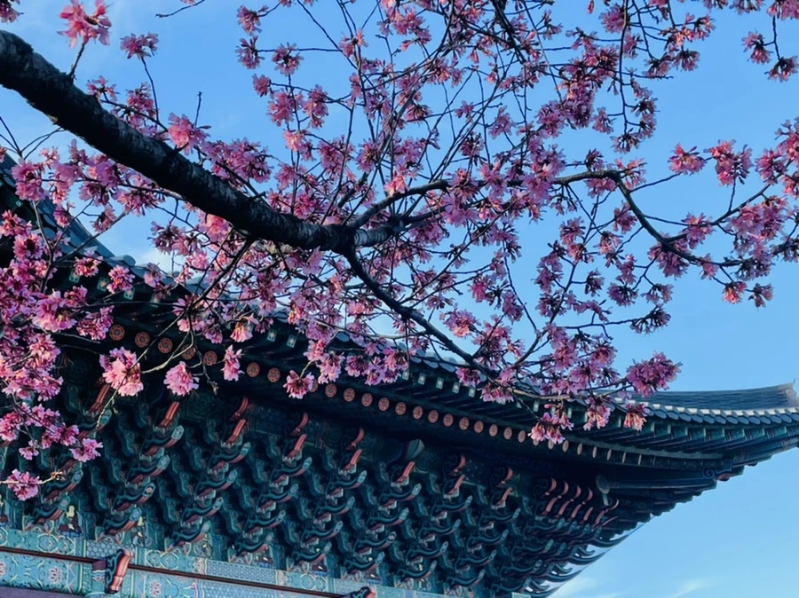 IMG_6102.jpg?type=w966