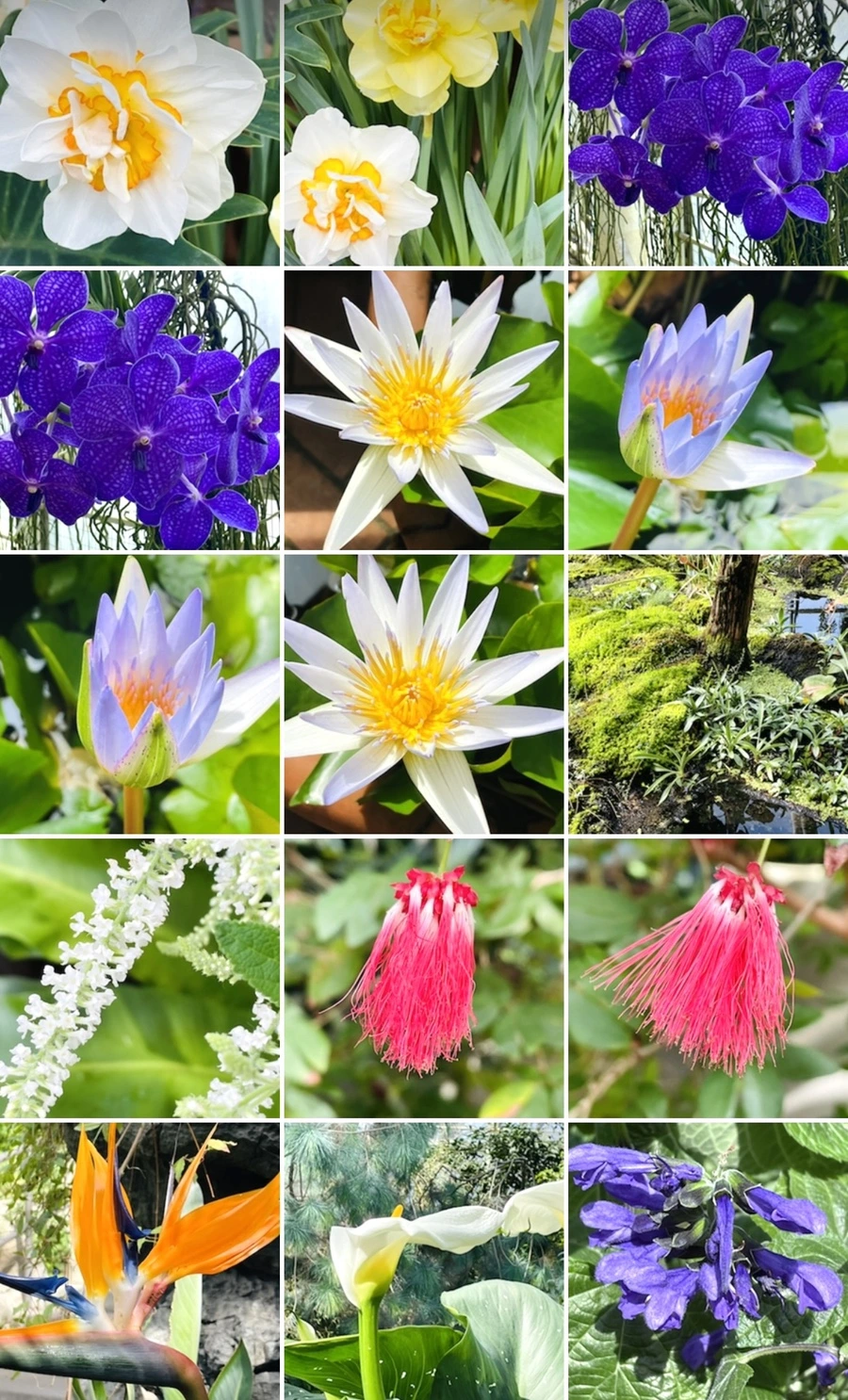 IMG_4258.jpg?type=w966