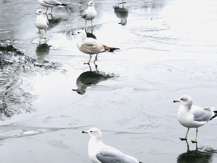 S89Cwd0vARpzny1E_RnoFAcMXic