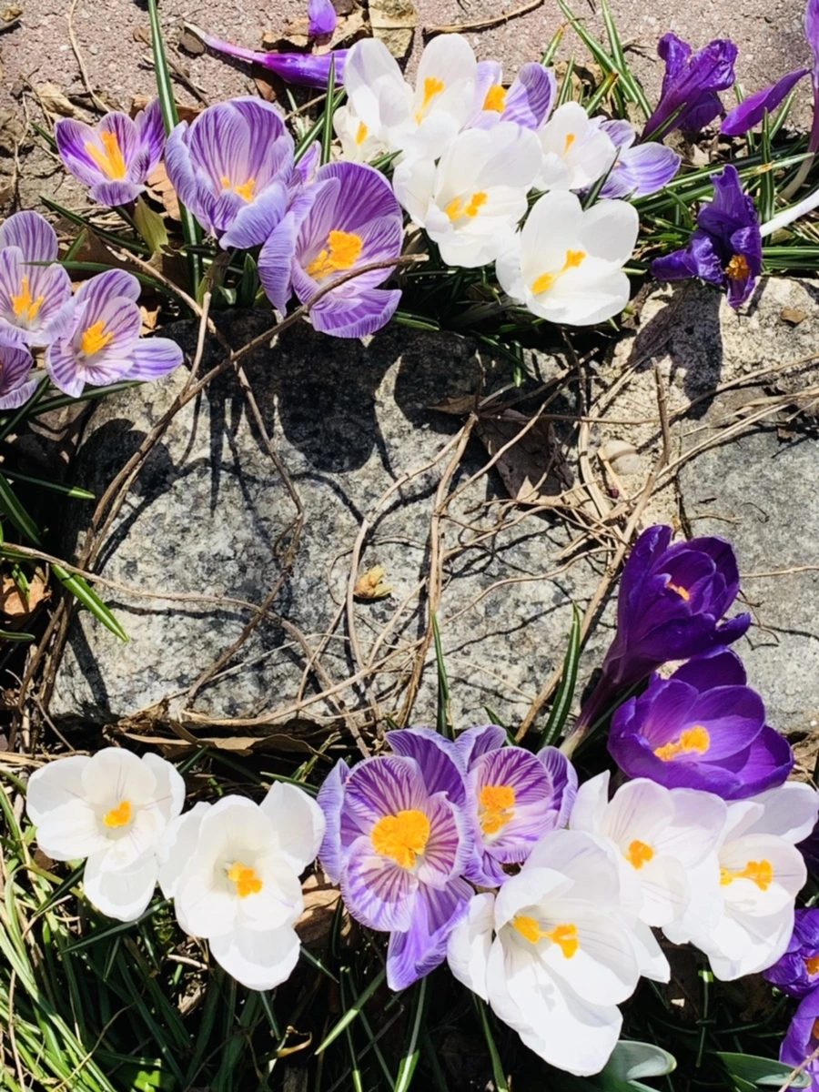 IMG_2903.jpg?type=w966