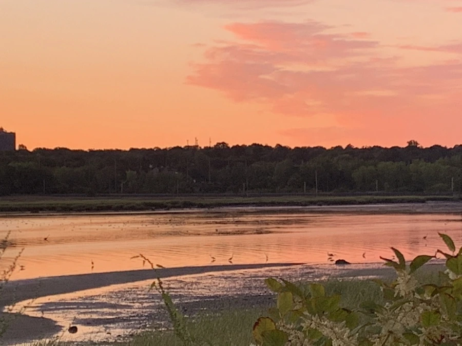 IMG_7459.jpg?type=w966