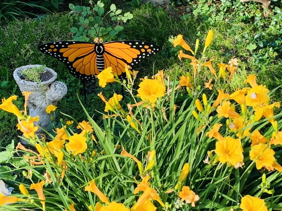 Zt3GO0oLptT2xLgkX9pr9tsZXXQ