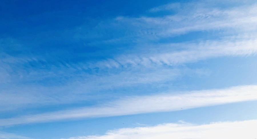 IMG_4821.jpg?type=w966