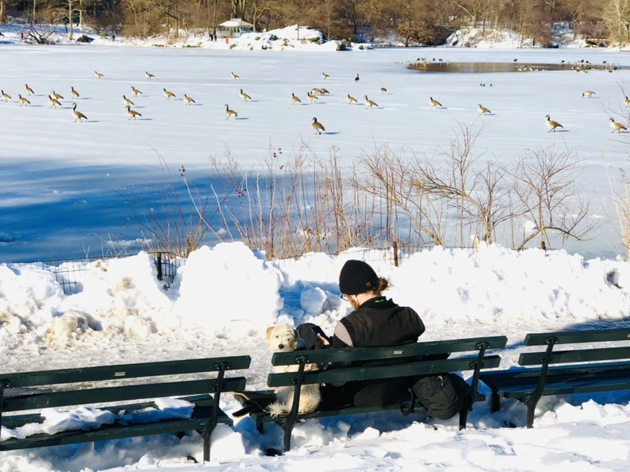 IMG_9882.jpg?type=w966