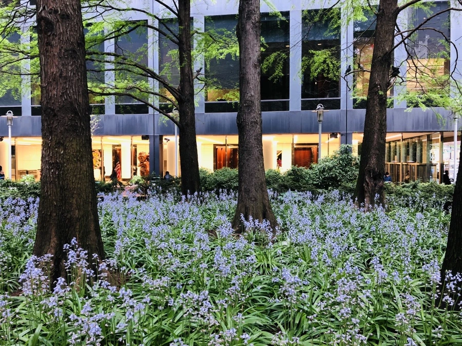 IMG_4666.jpg?type=w966