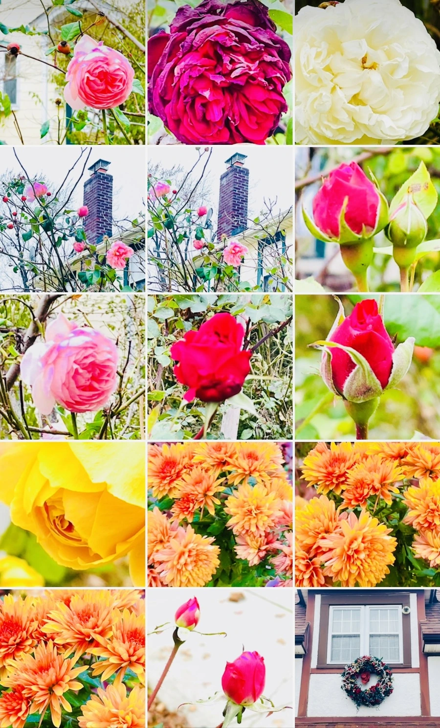 IMG_6225.jpg?type=w966